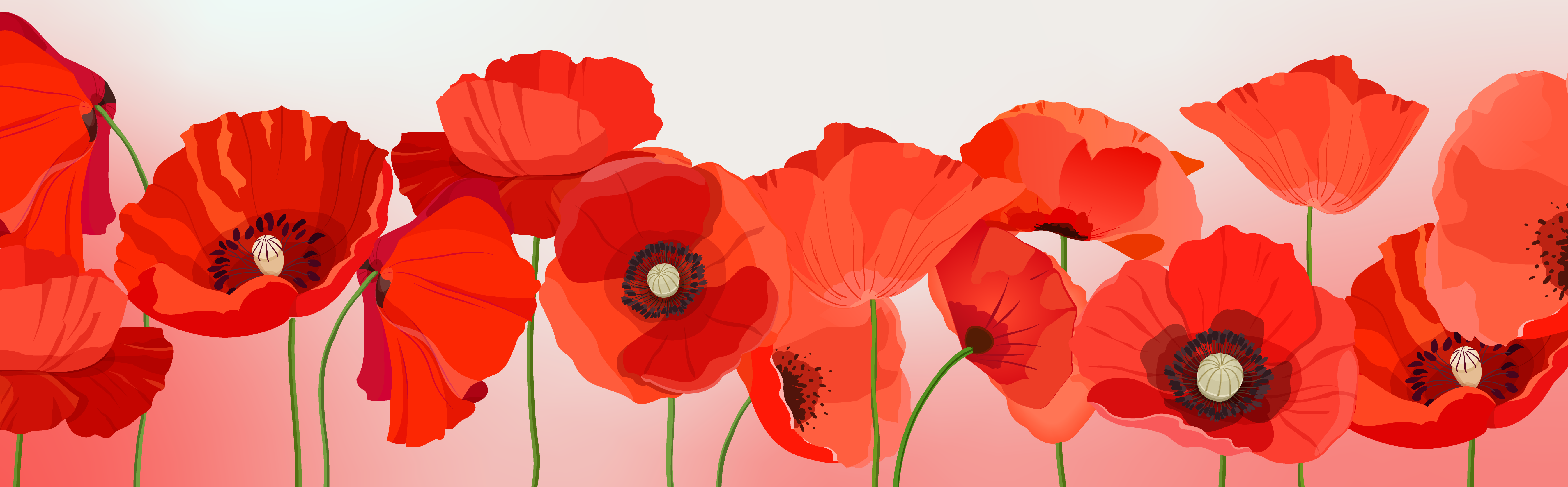 Remembrance day in canada